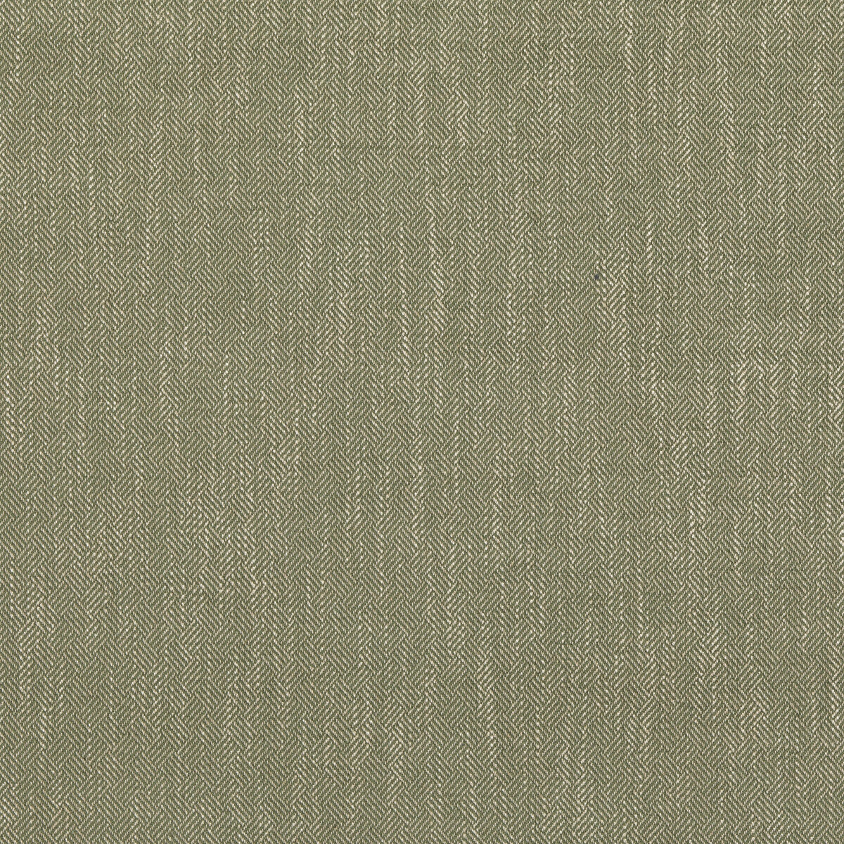 BAKER LIFESTYLE PF50486.735.0 GARDEN PATH GREEN Fabric - Eade's Wallpaper