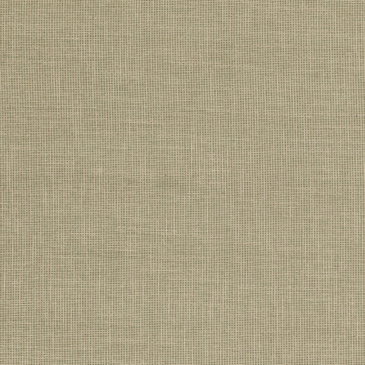 BAKER LIFESTYLE PF50487.735.0 FOLLY GREEN Fabric - Eade's Wallpaper