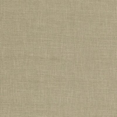 BAKER LIFESTYLE PF50487.735.0 FOLLY GREEN Fabric - Eade's Wallpaper