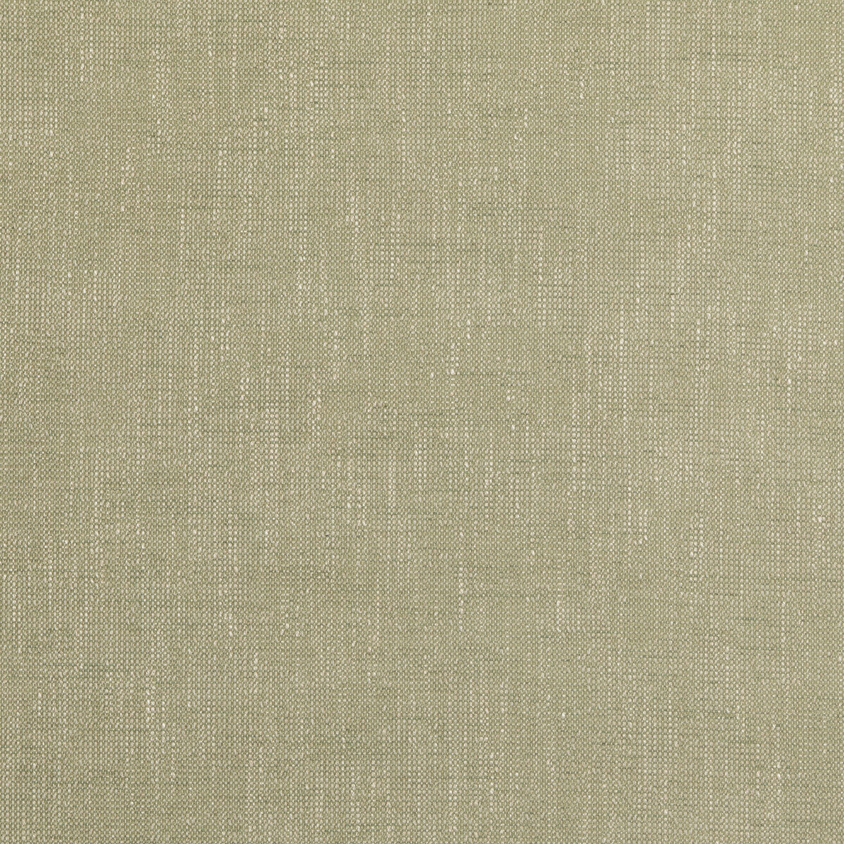 BAKER LIFESTYLE PF50489.735.0 BOWER GREEN Fabric - Eade's Wallpaper