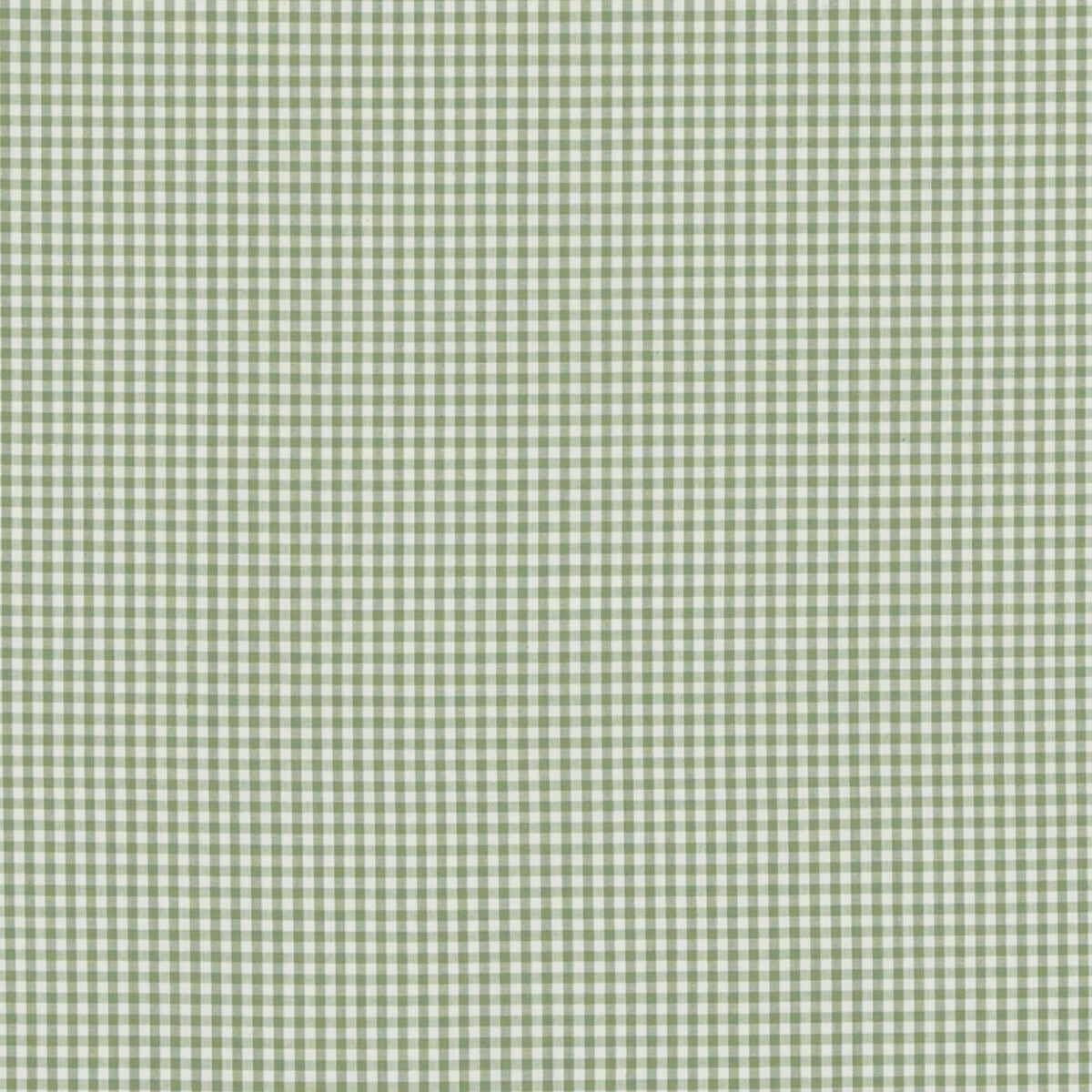 BAKER LIFESTYLE PF50506.735.0 SHERBORNE GINGHAM GREEN Fabric - Eade's Wallpaper