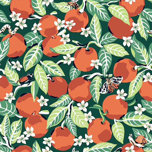 PrintFresh PFS4816 Juniper Orange Grove Peel and Stick Wallp