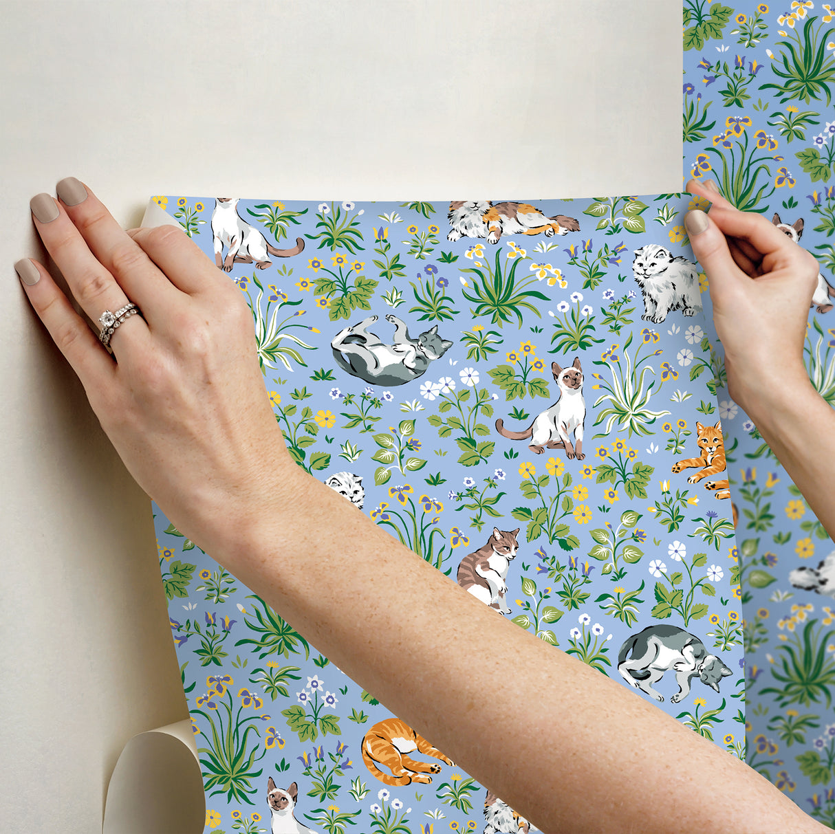 PrintFresh PFS6567 Must Love Cats Blue Peel and Stick Wallpa