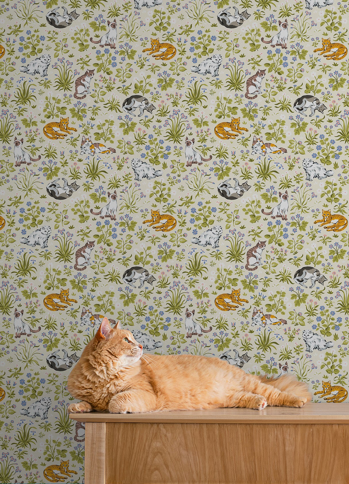 PrintFresh PFS6568 Must Love Cats Linen Peel and Stick Wallp