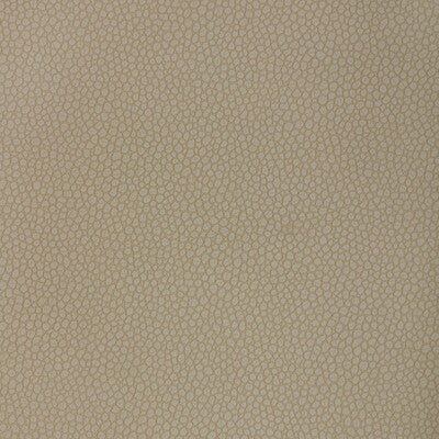 KRAVET DESIGN KRAVET DESIGN PIETRA.121.0 in PIETRA-121 Fabri