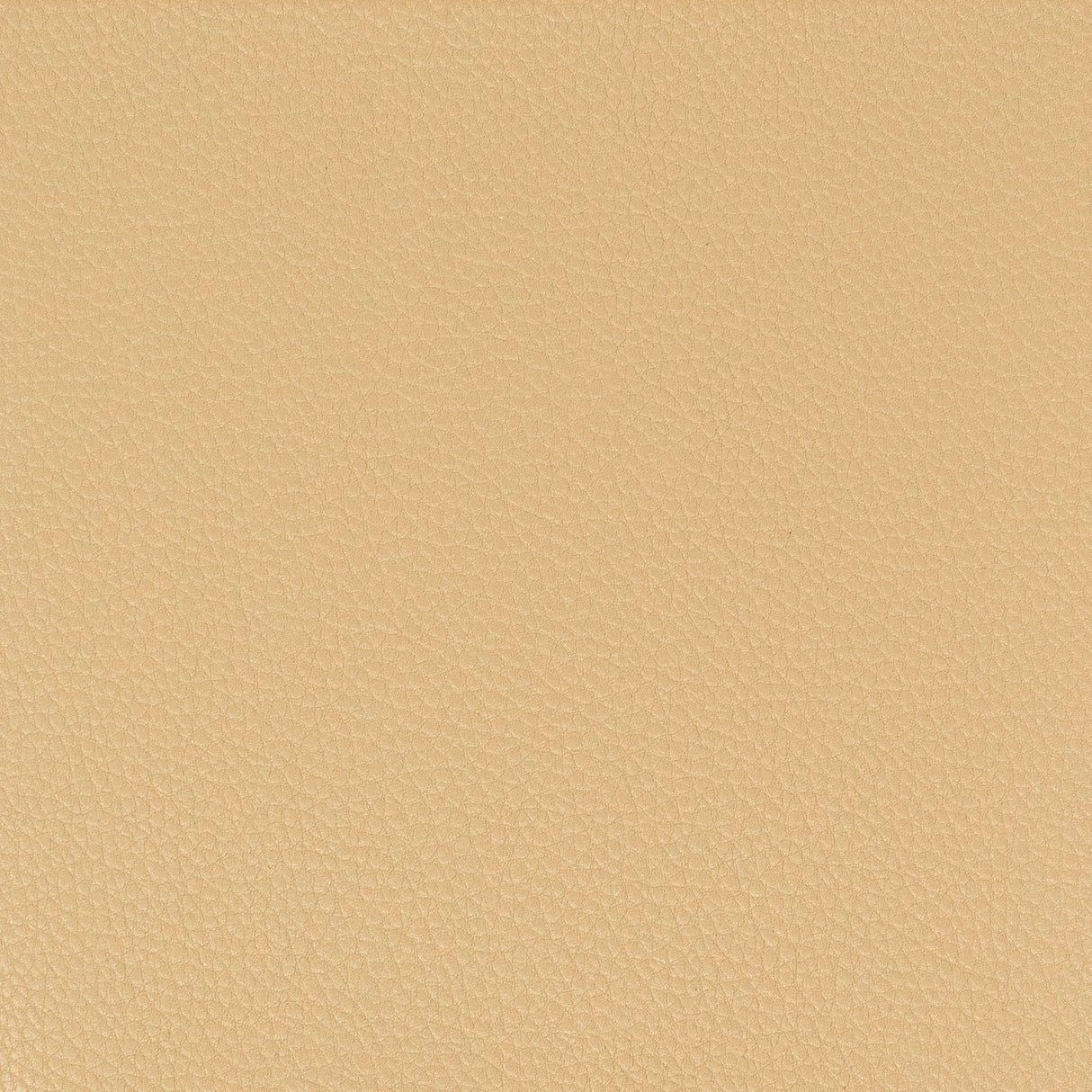 Eade's PITC-6-sample CAMEL