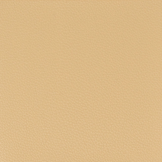 Eade's PITC-6-sample CAMEL