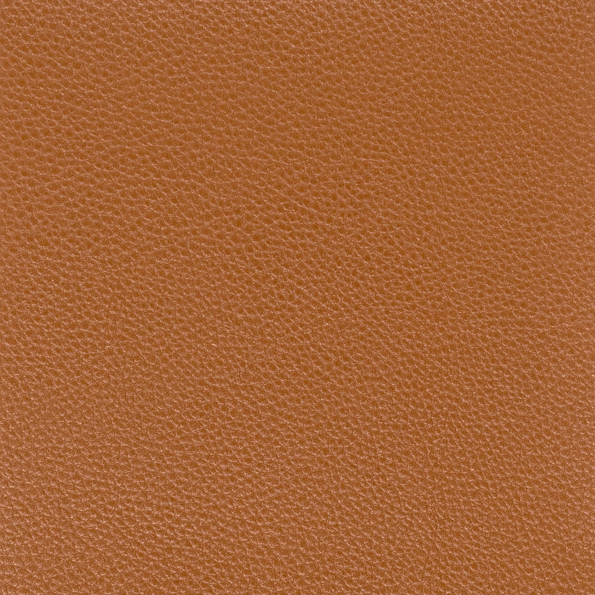 Eade's PITC-7-sample SADDLE