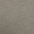 everyday 34-J8311 PLAYER Fabric - Eade's Wallpaper & Fabric