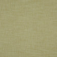 everyday 73-J8311 PLAYER Fabric - Eade's Wallpaper & Fabric