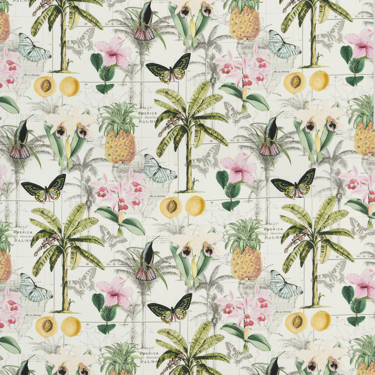 BAKER LIFESTYLE PP50434.1.0 ORINOCO TROPICAL Fabric - Eade's Wallpaper