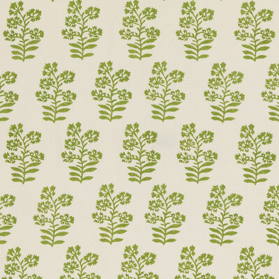 BAKER LIFESTYLE PP50483.5.0 WILD FLOWER GREEN Fabric - Eade's Wallpaper