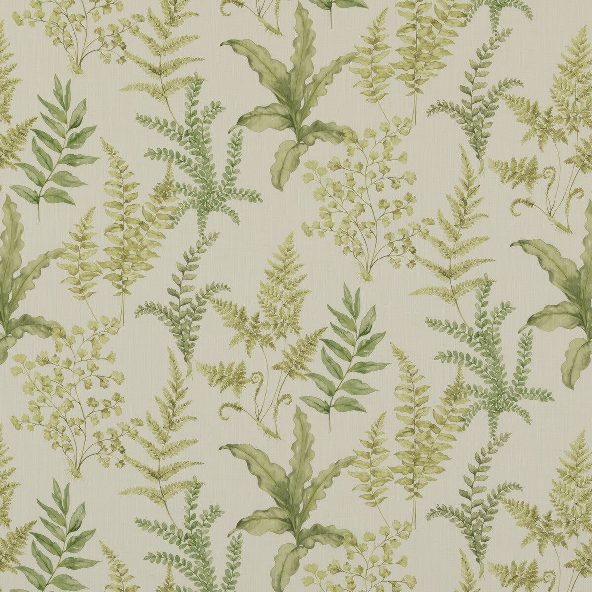 BAKER LIFESTYLE PP50503.3.0 FERNDOWN GREEN Fabric - Eade's Wallpaper