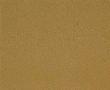 Eade’s # 016 MAIZE