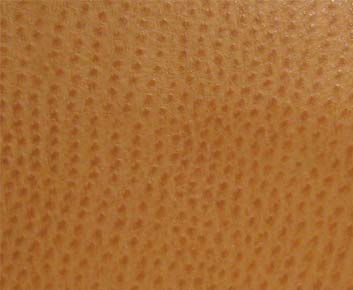 Eade’s # 005 CHUTNEY