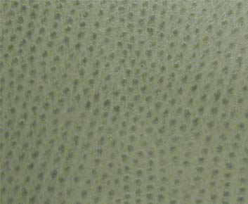 Eade’s # 006 DRIZZLE