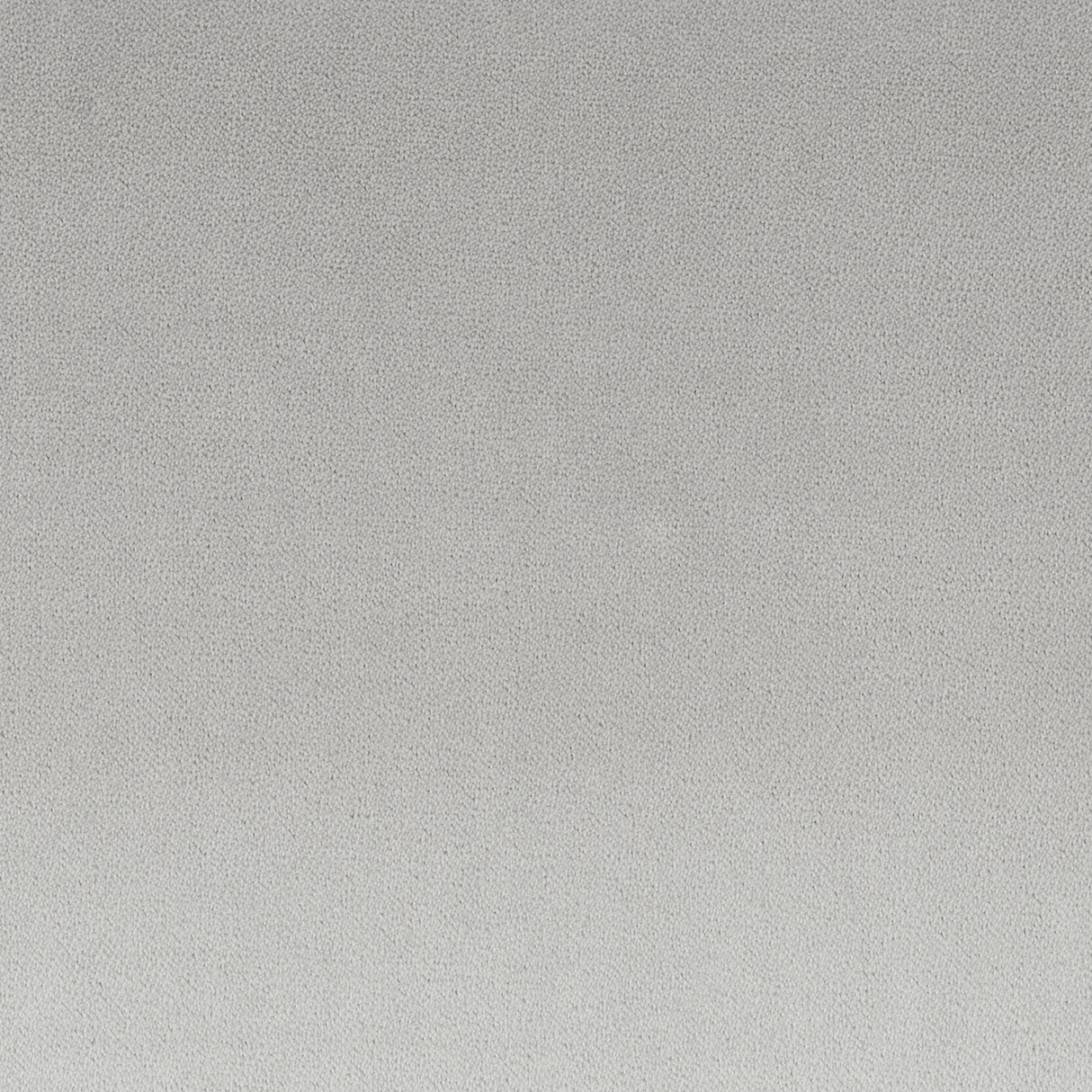 Eade's PREM-1-sample SILVER