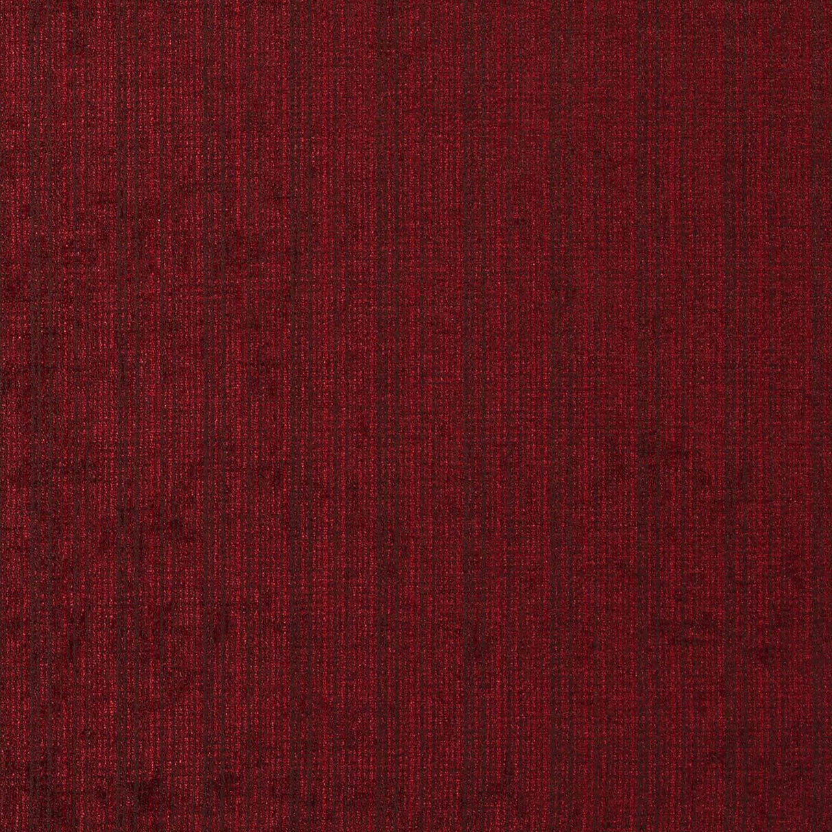 JF Fabrics 48-J7081 PROTECTOR Fabric