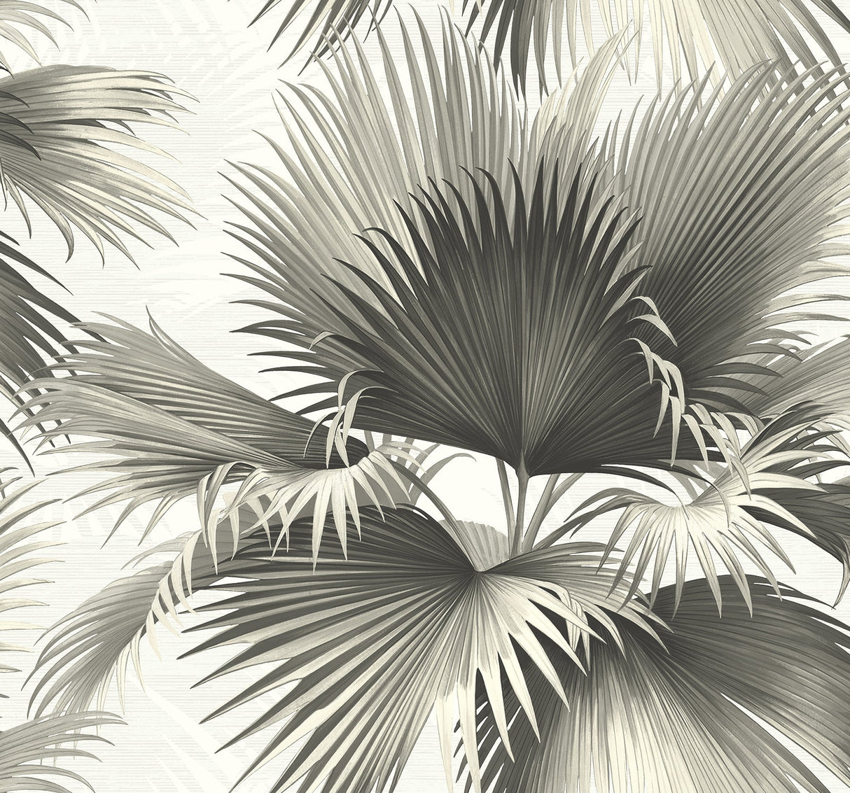 Kenneth James PS40100 Endless Summer Black Palm Wallpaper