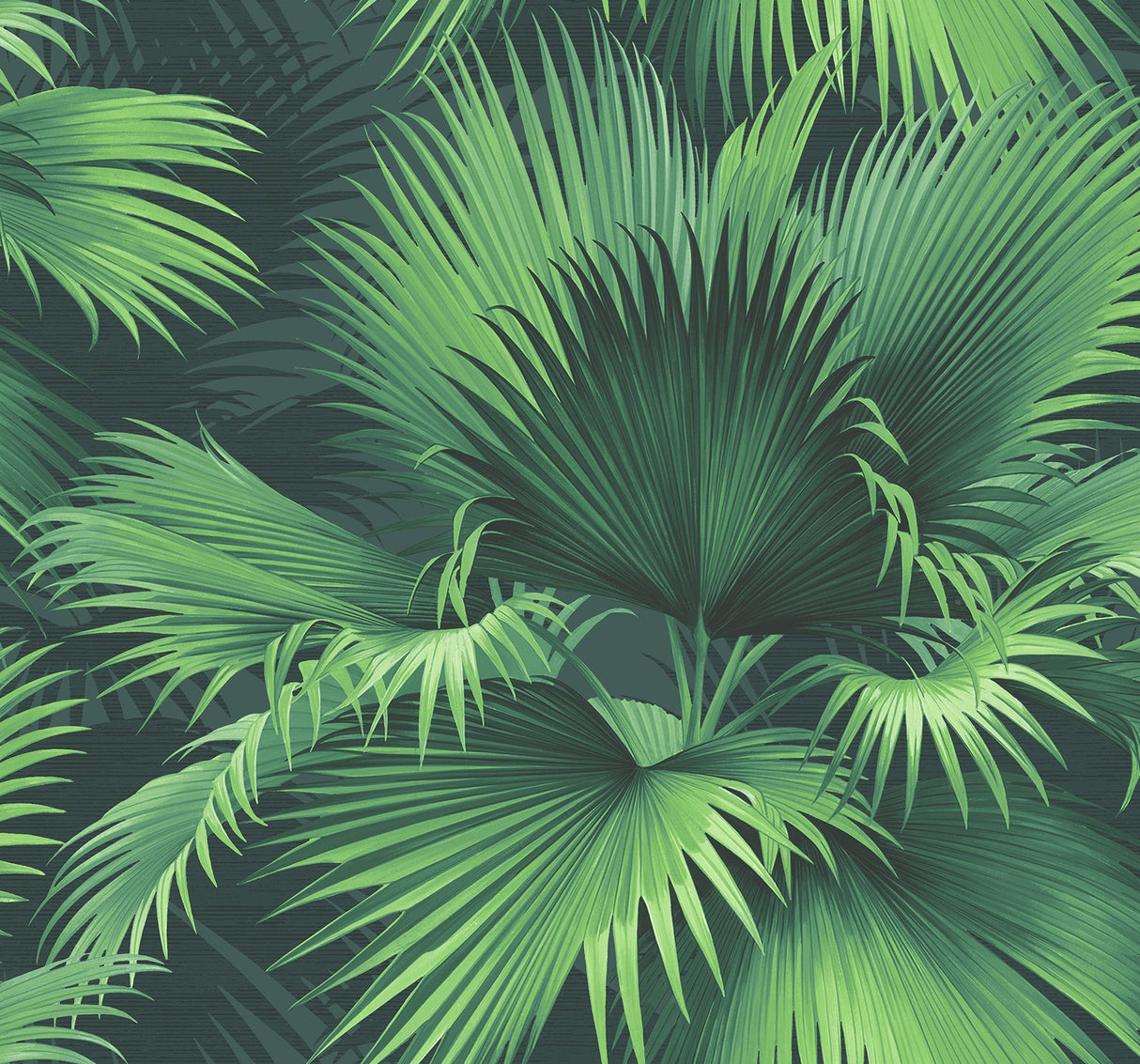 Kenneth James PS40104 Endless Summer Dark Green Palm Wallpaper