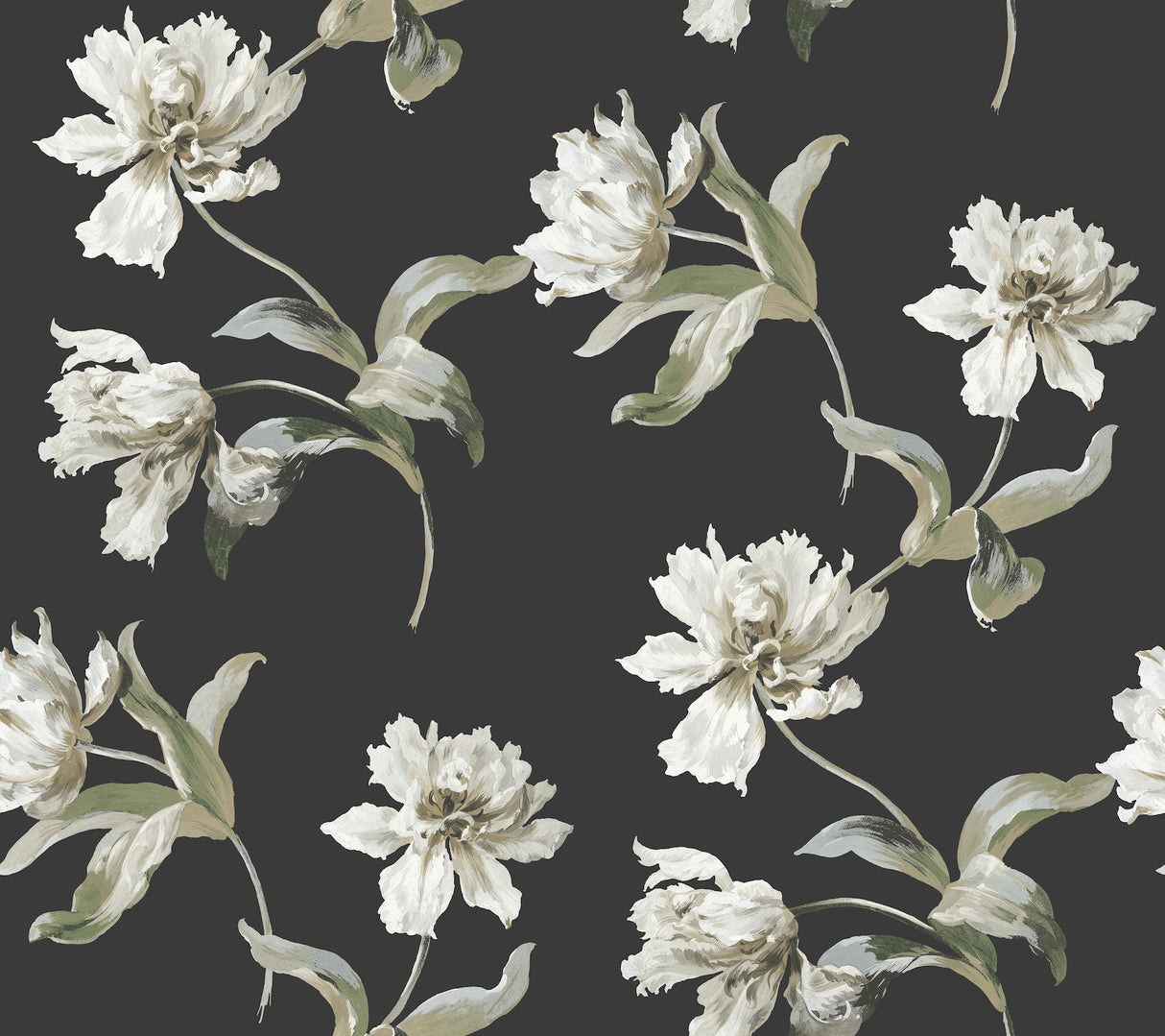 Eade’s Large Parrot Tulip Black