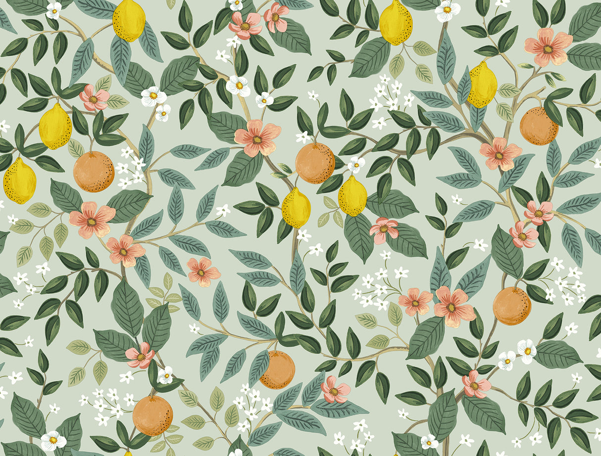 York PSW1480RL Citrus Grove Mint Peel & Stick Wallpaper