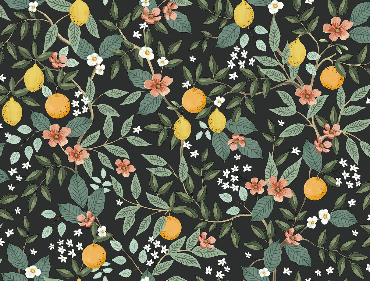 York PSW1482RL Citrus Grove Black Peel & Stick Wallpaper
