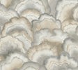 York PSW1615RL Abalone Fans Premium Peel + Stick Wallpaper - Eade's Wallpaper