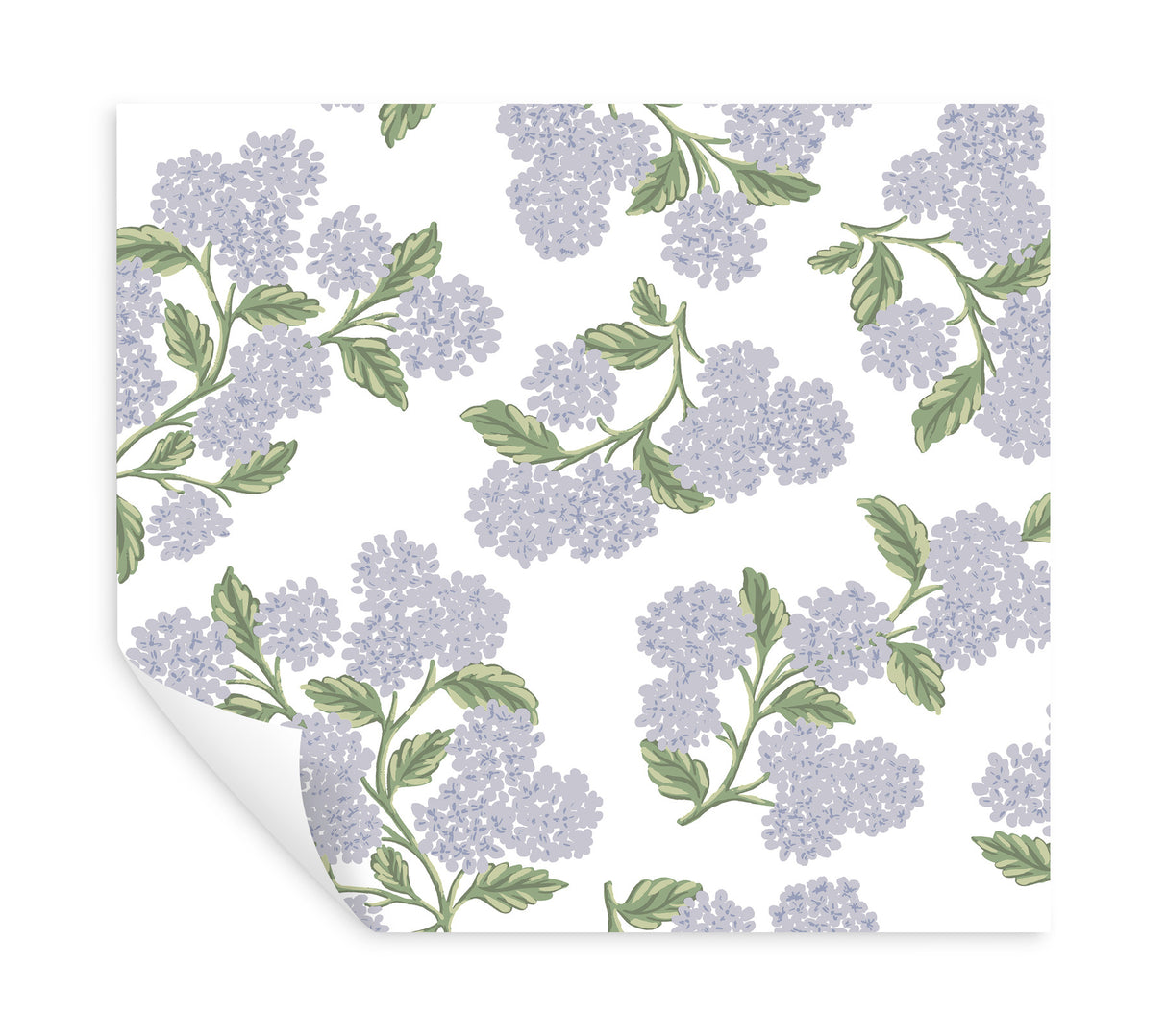 Eade’s Hydrangea Lilac & White