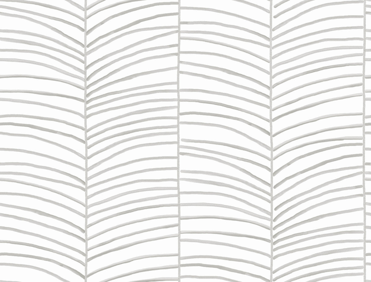 York Wallcoverings PSW1701RL Cascade Palm Grey Chic Tropics