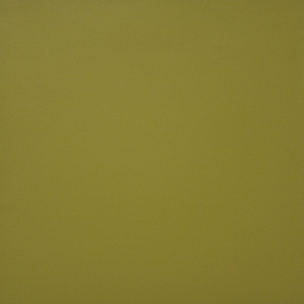 Eade’s # 728 SPRING