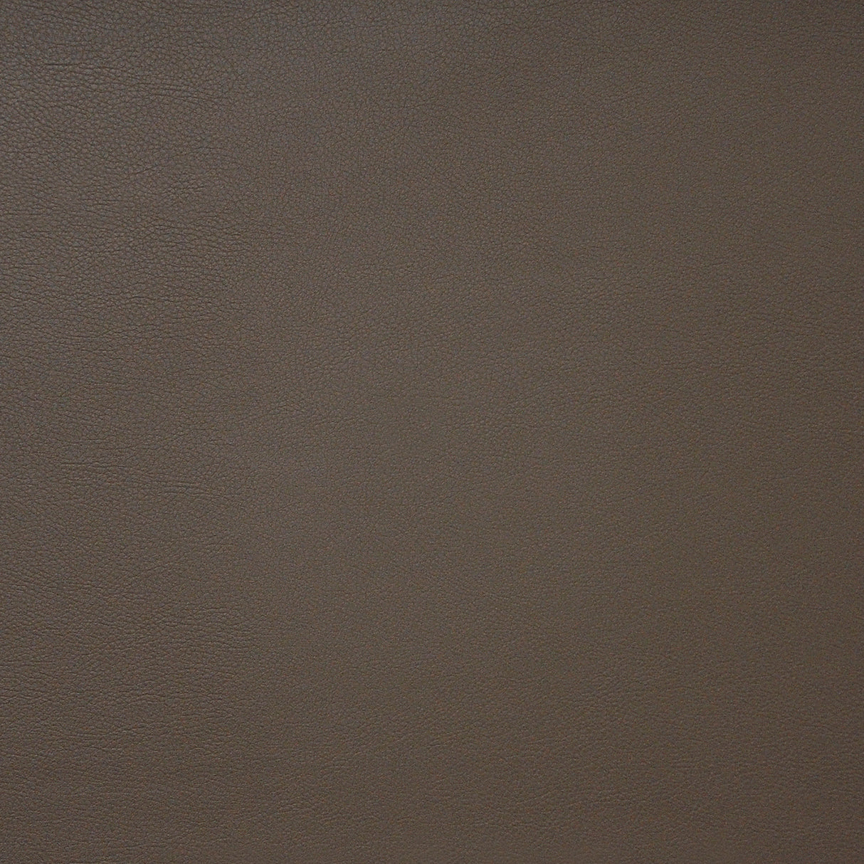 Eade’s # 741 COFFEE