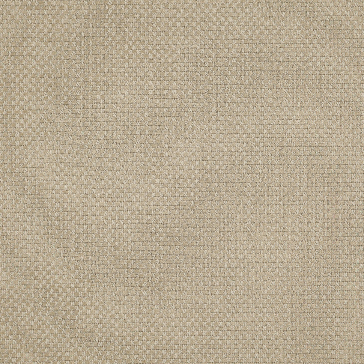 Eade’s # 02 COCOON