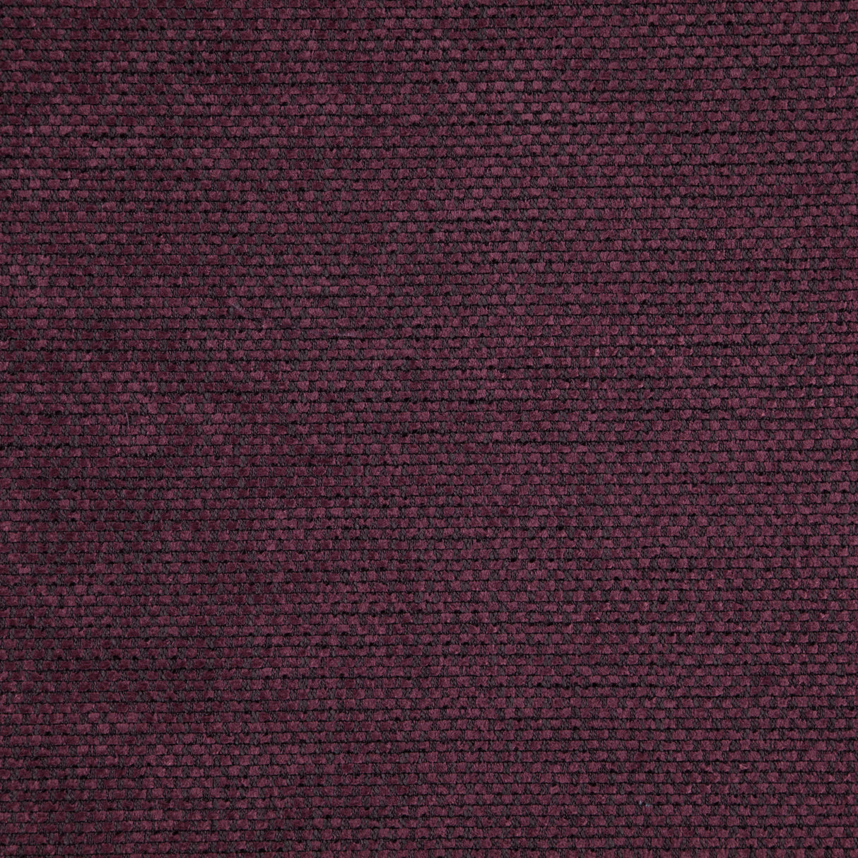 Eade’s # 17 PASSION