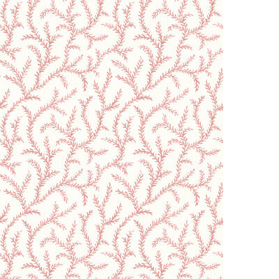 PURE EDIT INAYA WP PWC100010.7.0 in ROSE Wallpaper - THE PUR