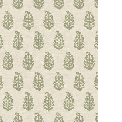 PURE EDIT INDIRA WP PWC100012.30.0 in SAGE Wallpaper - THE P