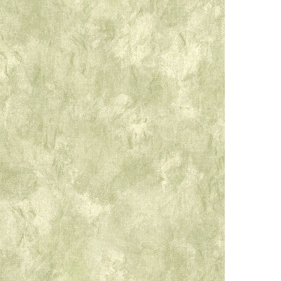 PURE EDIT NAMATHA WP PWC100016.30.0 in SAGE Wallpaper - THE