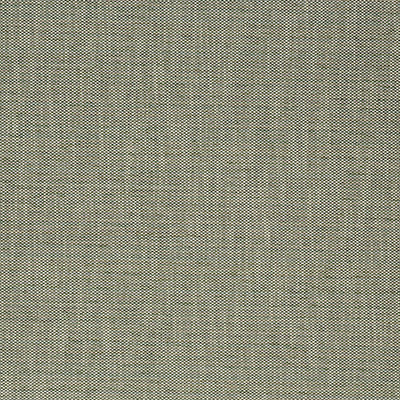 Pindler BIXLER IVY Q016 Fabric