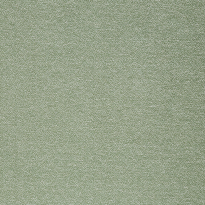 Pindler SLATER CELADON Q020 Fabric