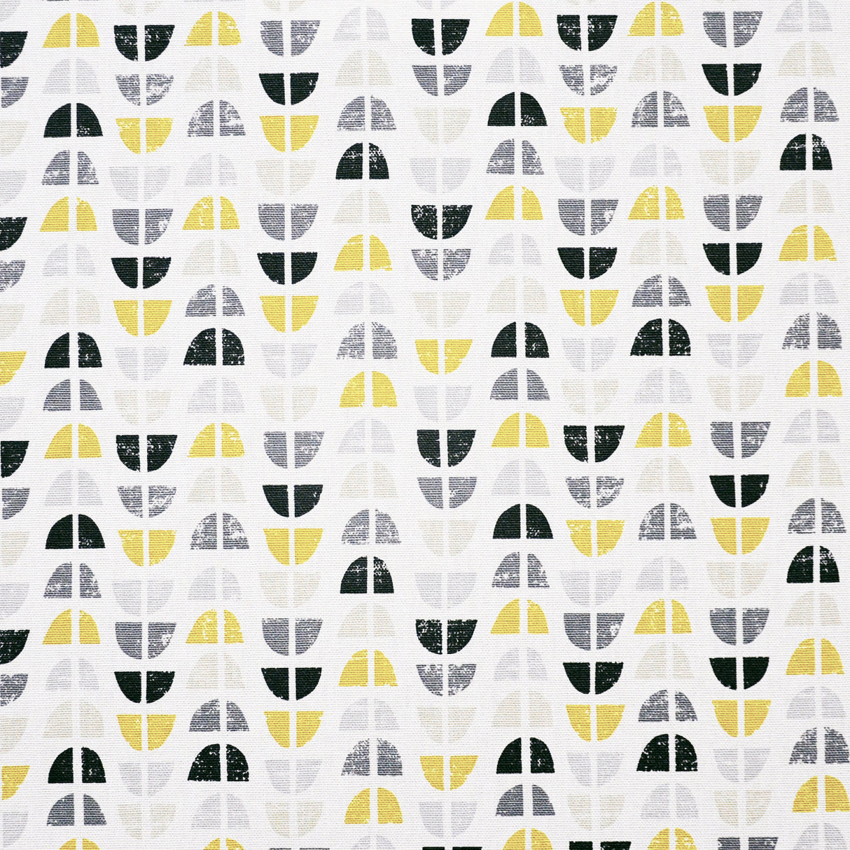 Eade’s # 311 CANYON