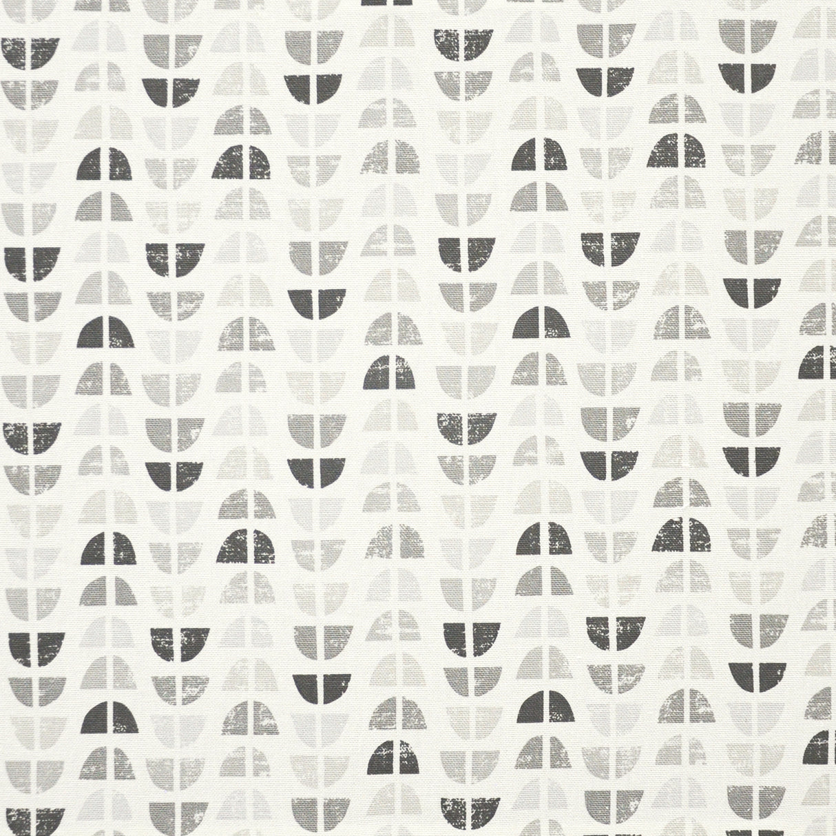 Eade’s # 507 PARAMOUNT