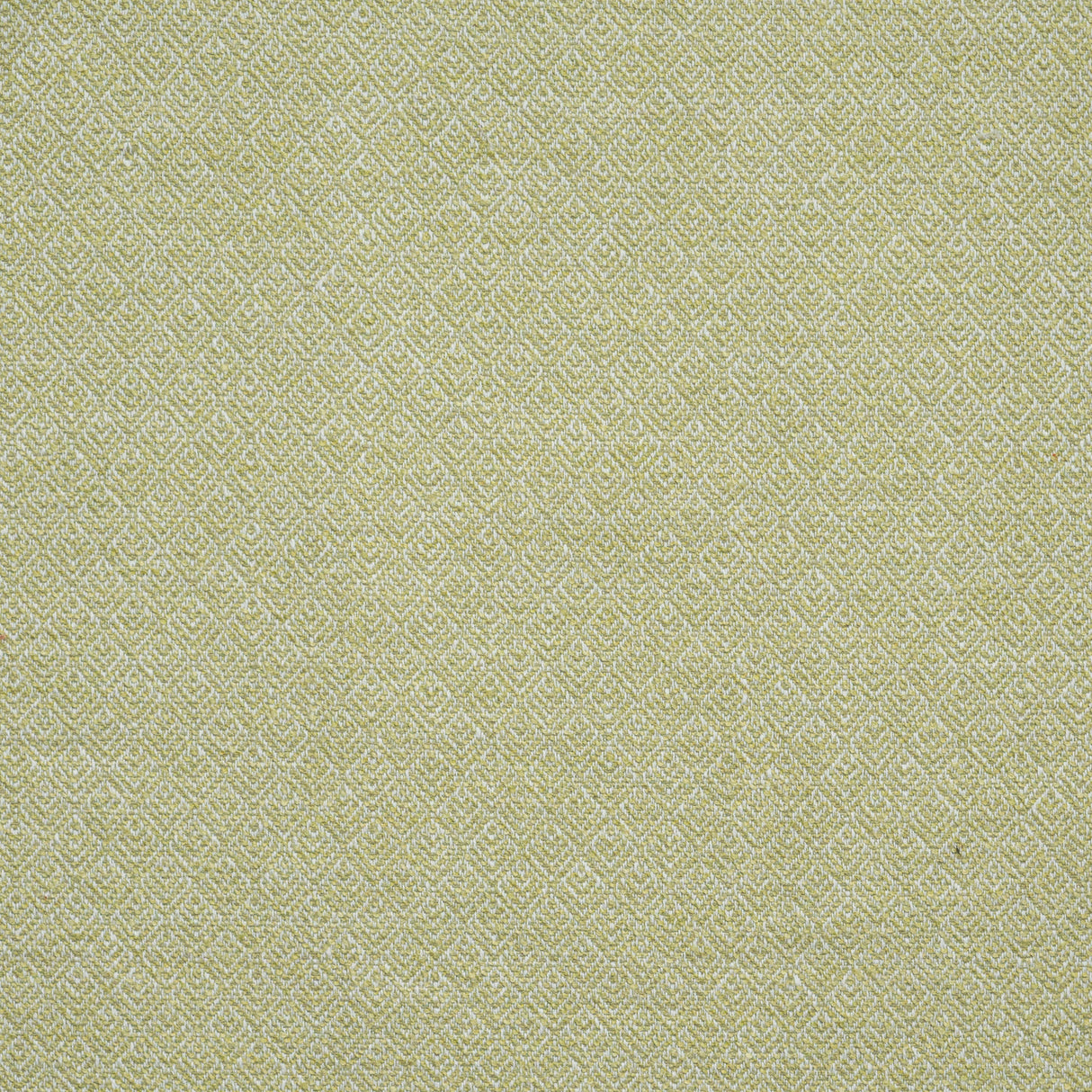 Eade’s # 911 CELERY