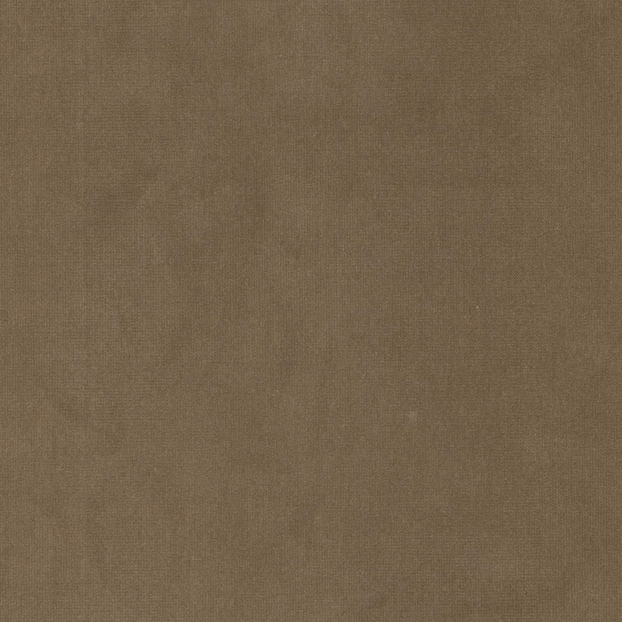 Eade's QUEE-1-sample LION