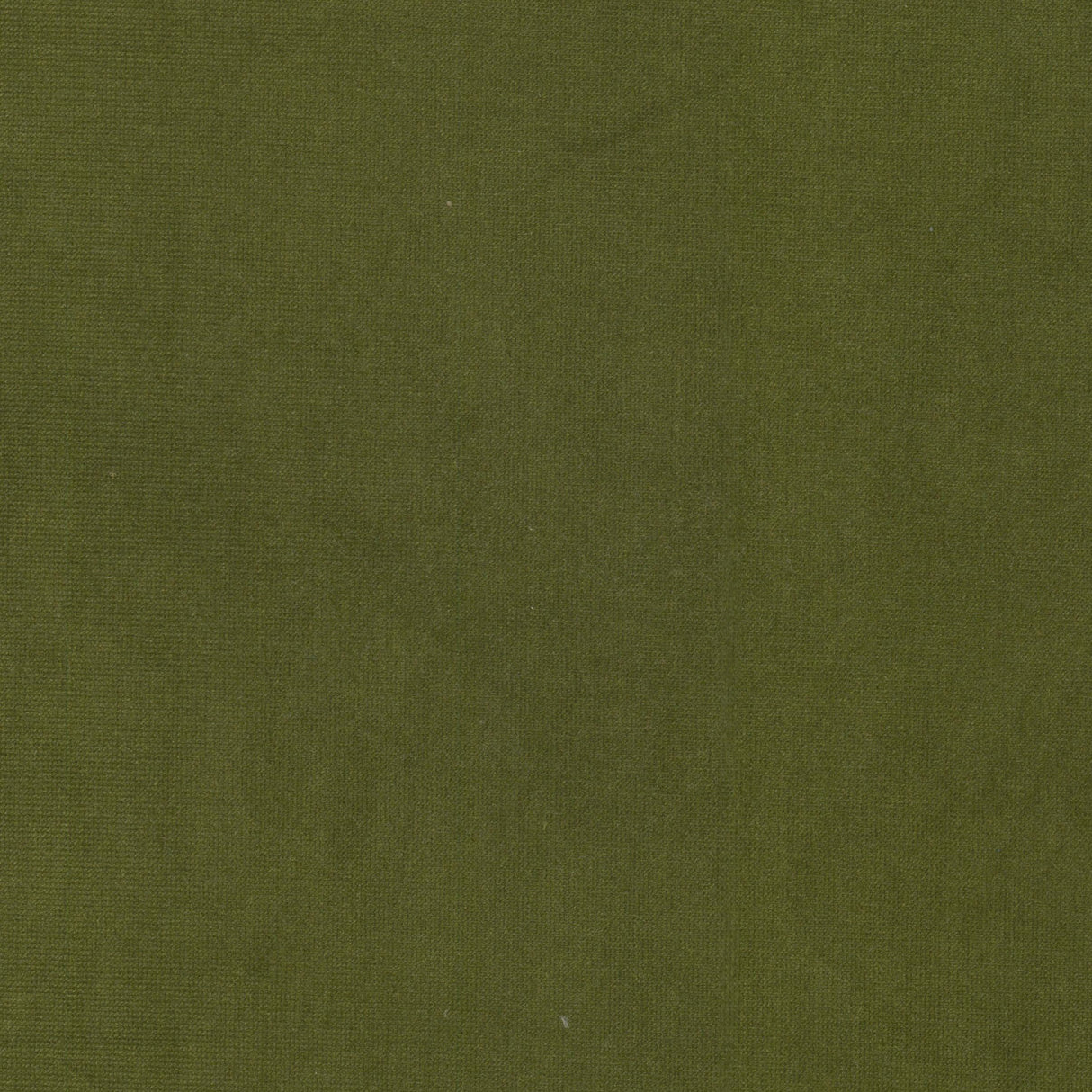 Eade's QUEE-10-sample OLIVE