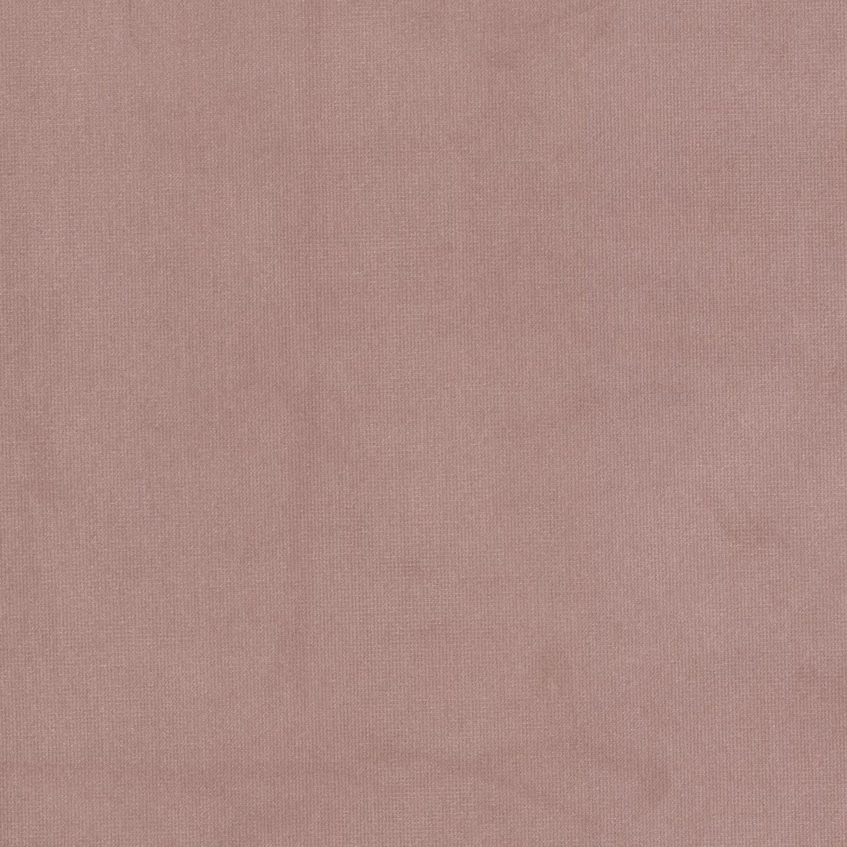 Eade's QUEE-16-sample CAMELIA