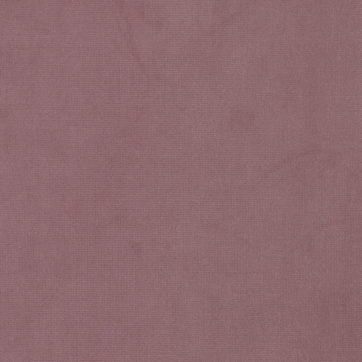 Eade's QUEE-17-sample FUCHSIA