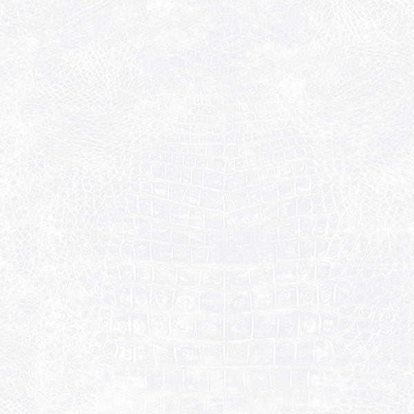 Patton / Norwall NFX G67508 Texture