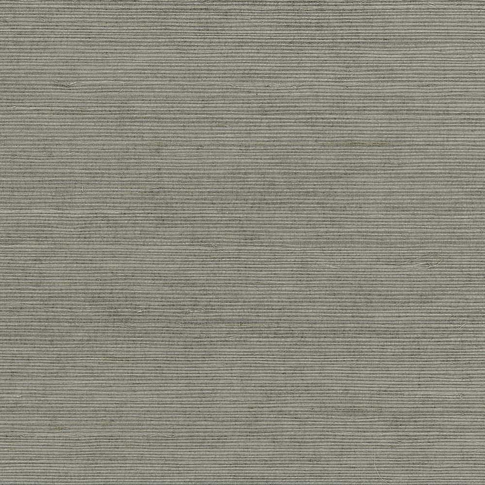 Patton / Norwall DG 488-410 Grasscloth