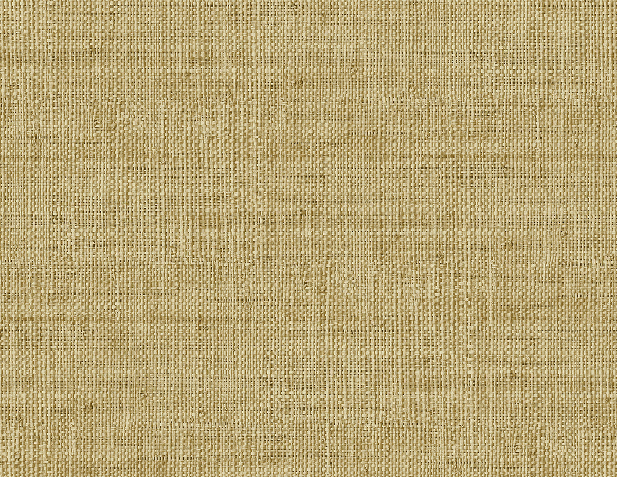 Seabrook Designs RA40315 Wild Bind Wallpaper
