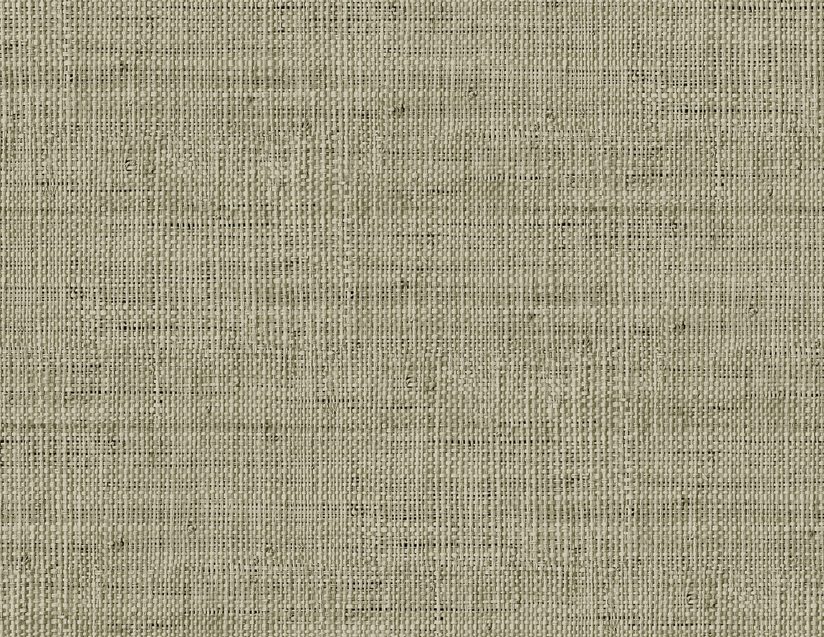 Seabrook Designs RA40317 Wild Bind Wallpaper